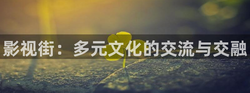 奇奇理论影院：影视街：多元文化的交流与交融