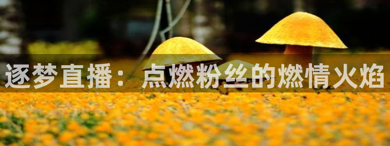 不卡神马奇奇影院：逐梦直播：点燃粉丝的燃情火焰