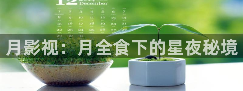 奇奇影院免费观看：月影视：月全食下的星夜秘境