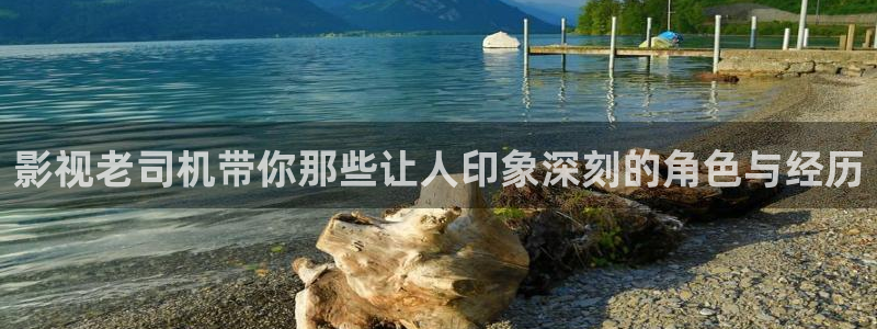 奇奇影院在线播放：影视老司机带你那些让人印象深刻的角色与经历