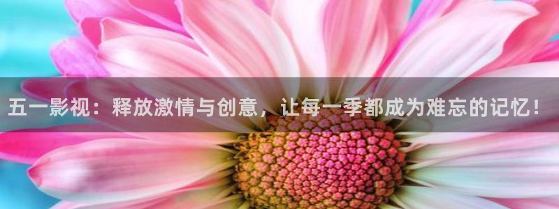 不卡神马奇奇影院：五一影视：释放激情与创意，让每一季都成为难忘的记忆！