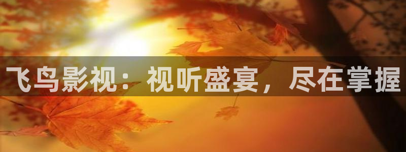 奇奇影院免费观看：飞鸟影视：视听盛宴，尽在掌握